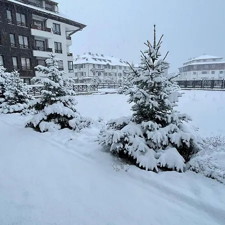 Altitude Mountain Aspen At Gondola *