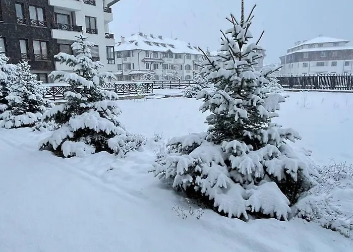 Altitude Mountain Aspen At Gondola *