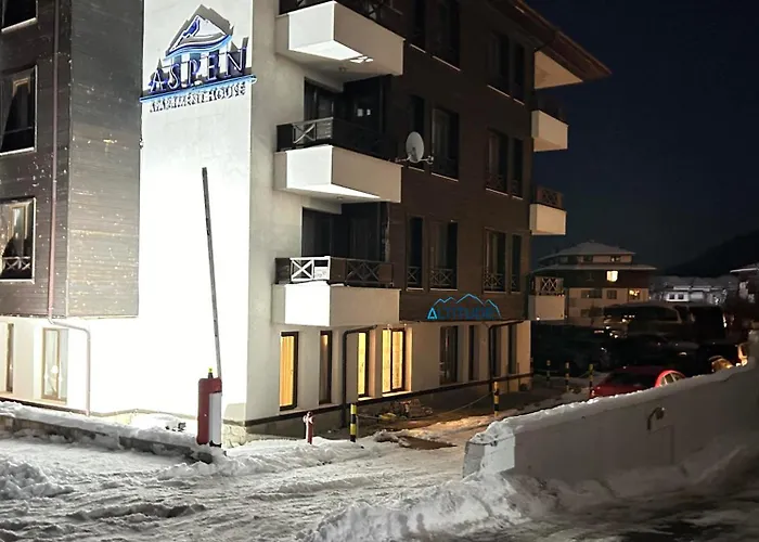 Altitude Mountain Aspen At Gondola *