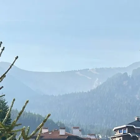 Altitude Mountain Aspen At Gondola *