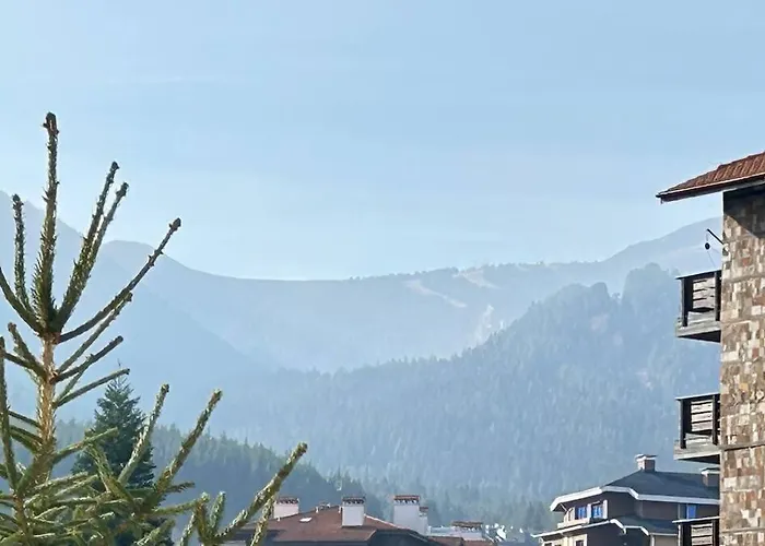 Altitude Mountain Aspen At Gondola *